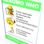 Ebook Resumo NHO – Fundacentro